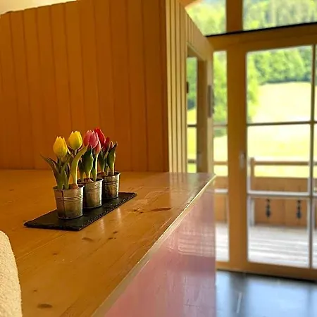 Alpenlodge Charivari - Sommerbergbahn Unlimited Kostenlos فندق أوبيرميسلشتاين